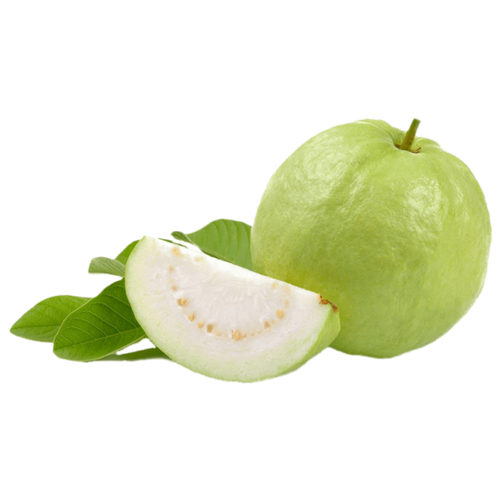 الجوافه السودانيه